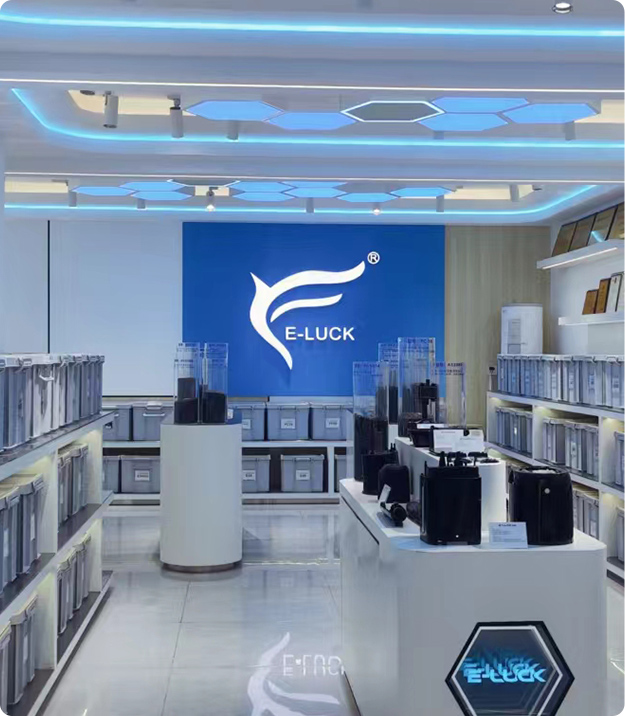 E-LUCK.