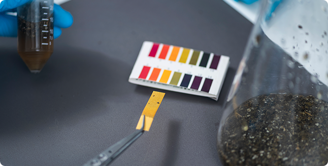 Soporte regulatorio y de certificación Soporte regulatorio y de certificación